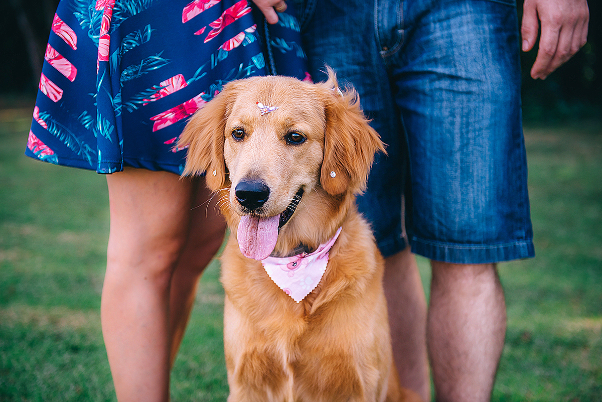ensaio casal, ensaio fotografico casal, fotos casal, ensaio casal cachorro