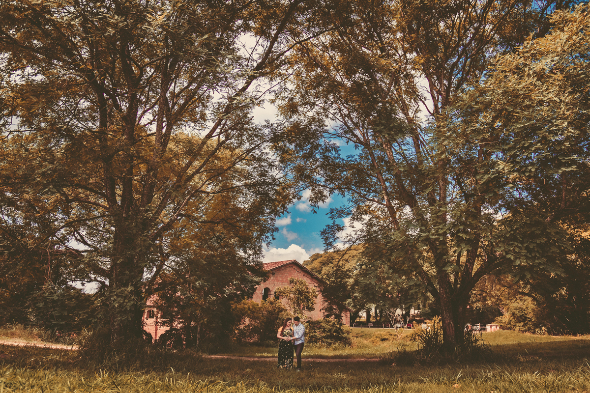 ensaio gestante realizado na fazenda ipanema em iperó sp