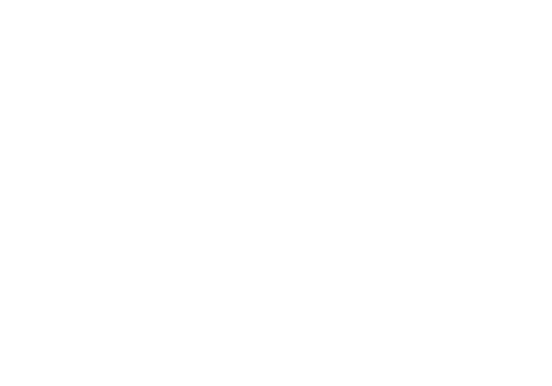 Logotipo de Ana Paula Venturi