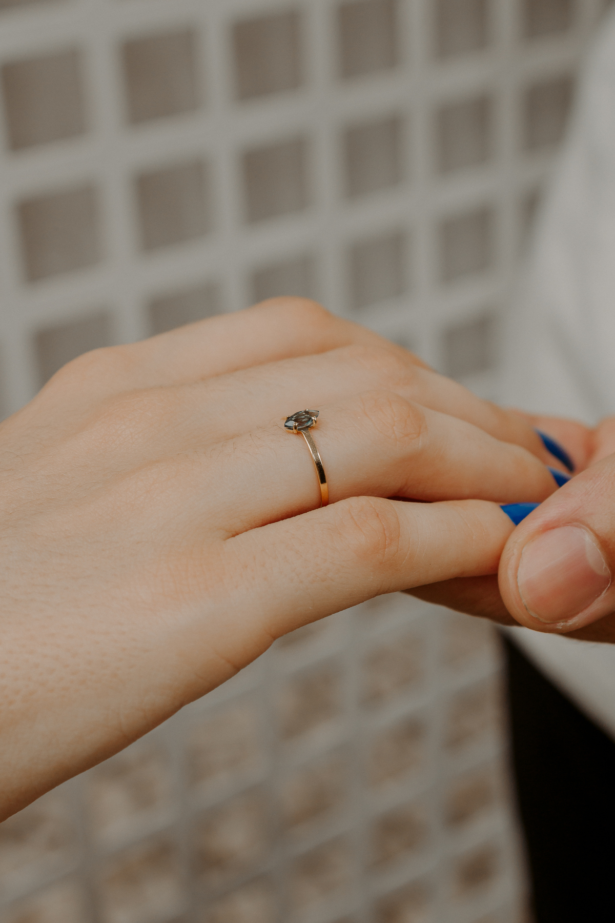 sessão de fotos de pedido de casamento