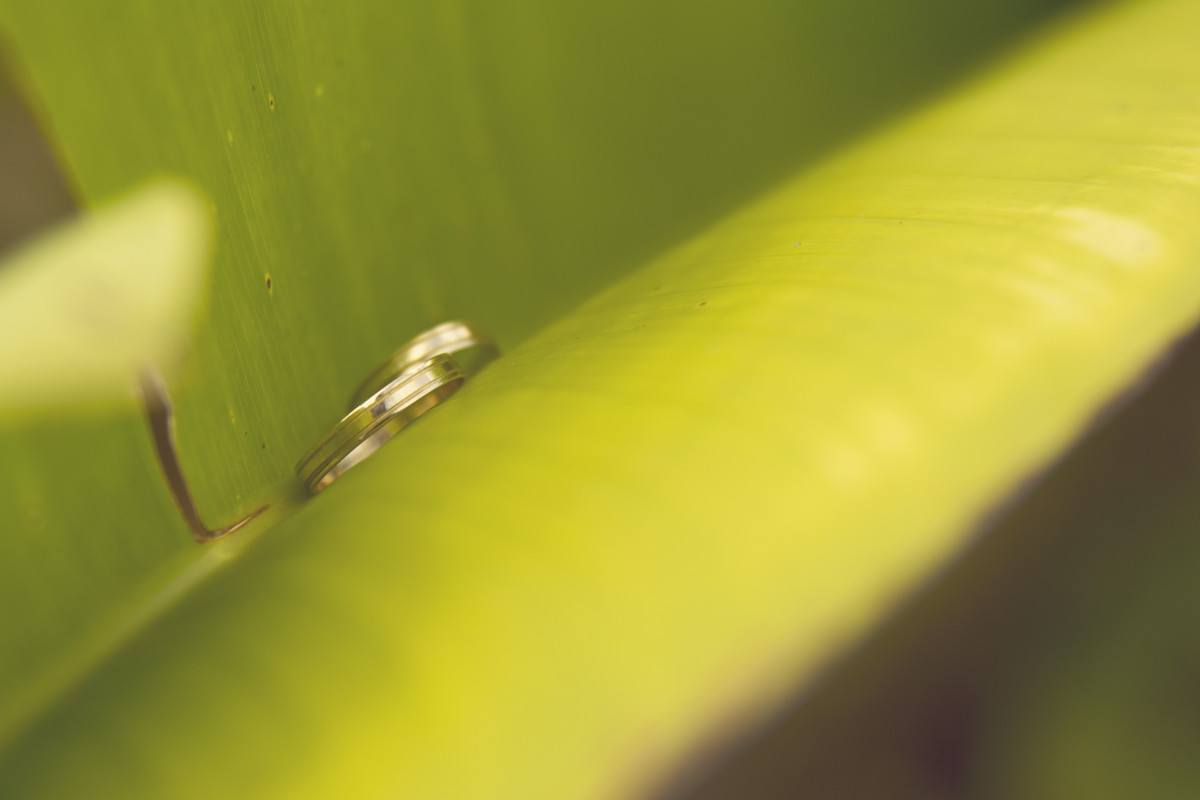 Rafaelly Lemos - Fotógrafa de casamento, aniversários e ensaios. Recife, Pernambuco. Brasil.