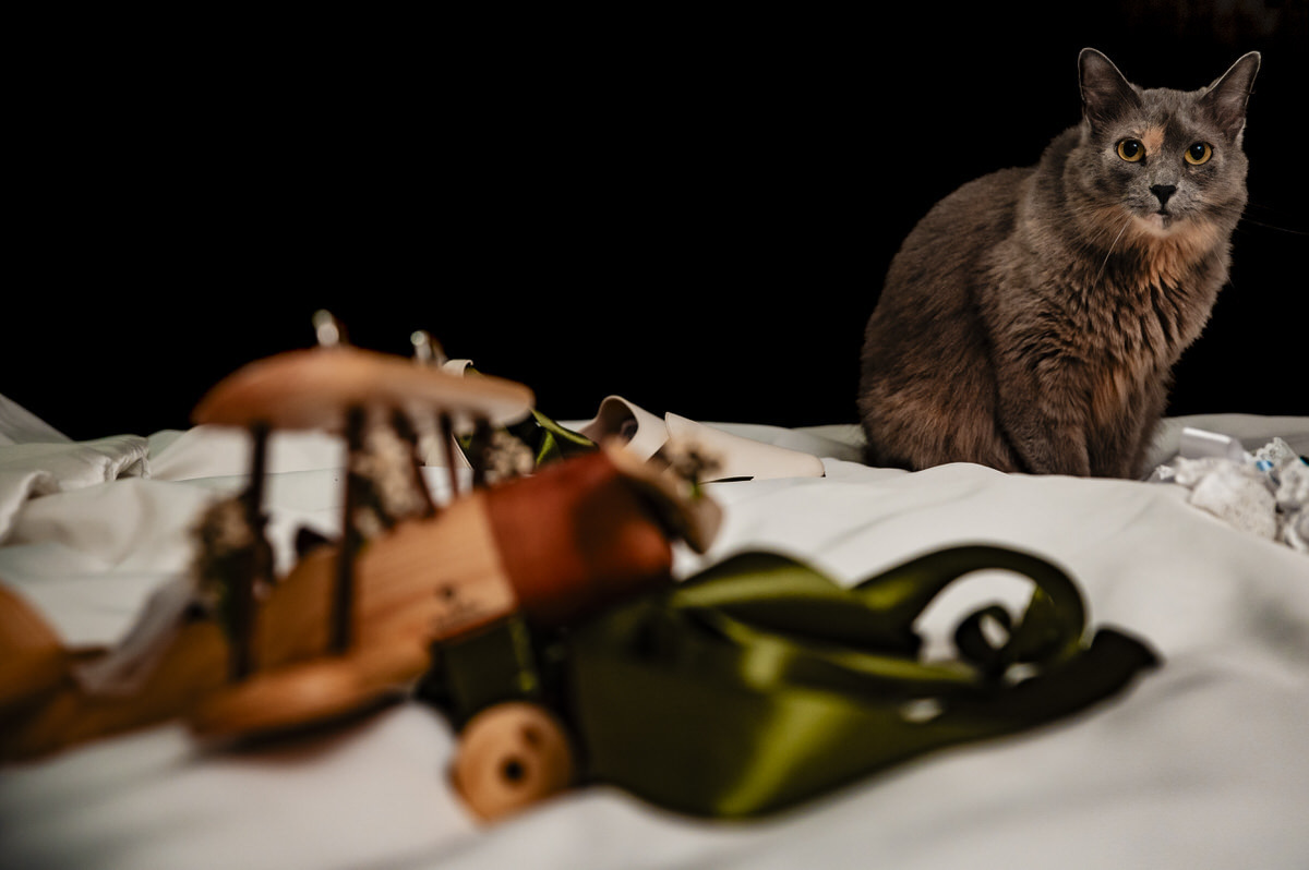 Fotógrafo de bodas Medellín