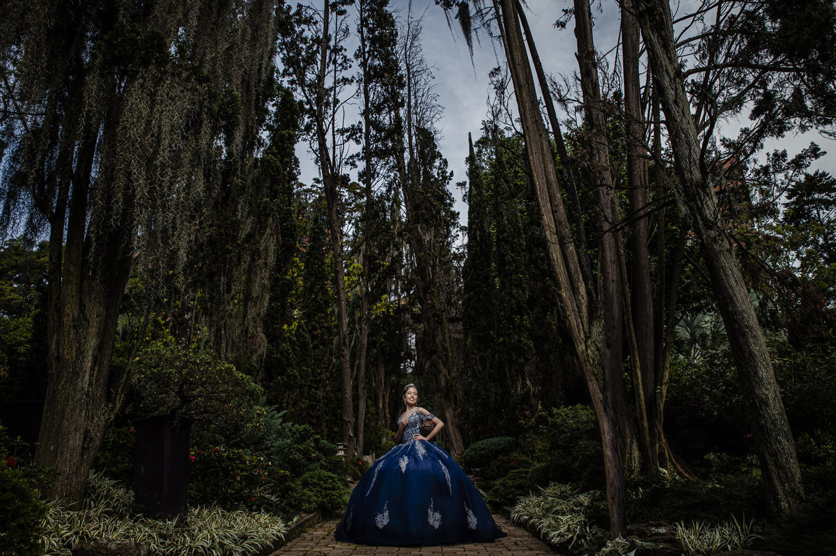 Fotos de quinces El Castillo