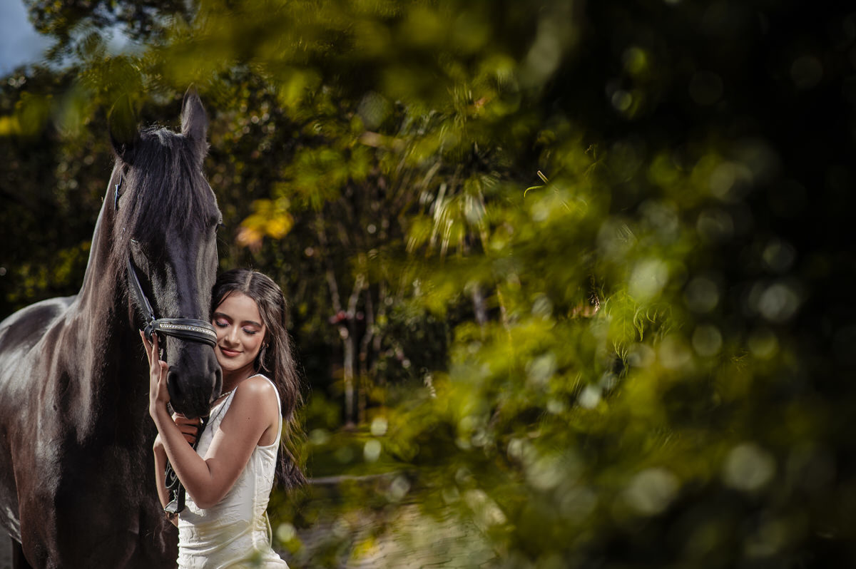 Quinces con caballos