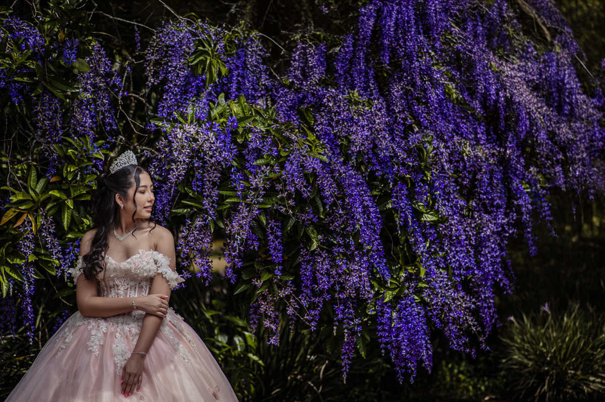 Fotos de quinces El Castillo