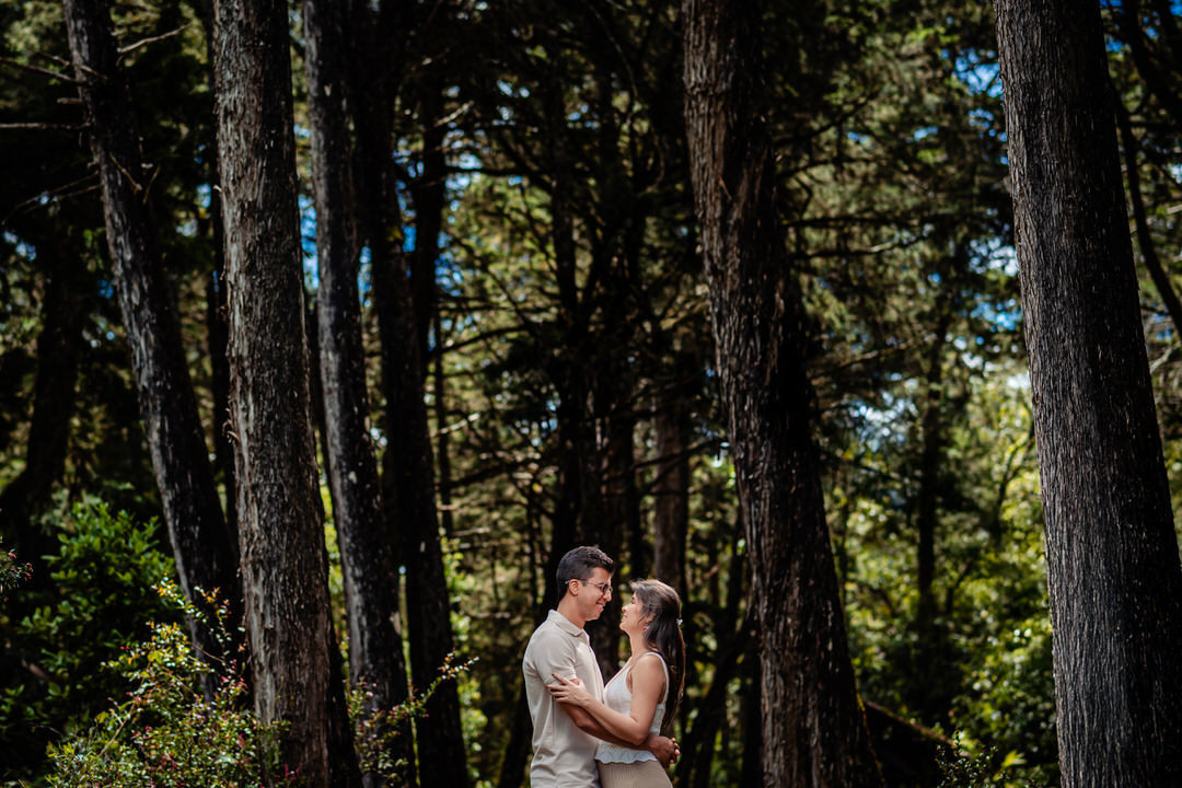 Pre-wedding photography session of the couple in a natural setting.