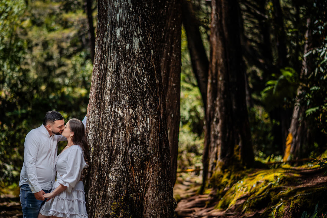 Pre-wedding photography session of the couple in a natural setting.