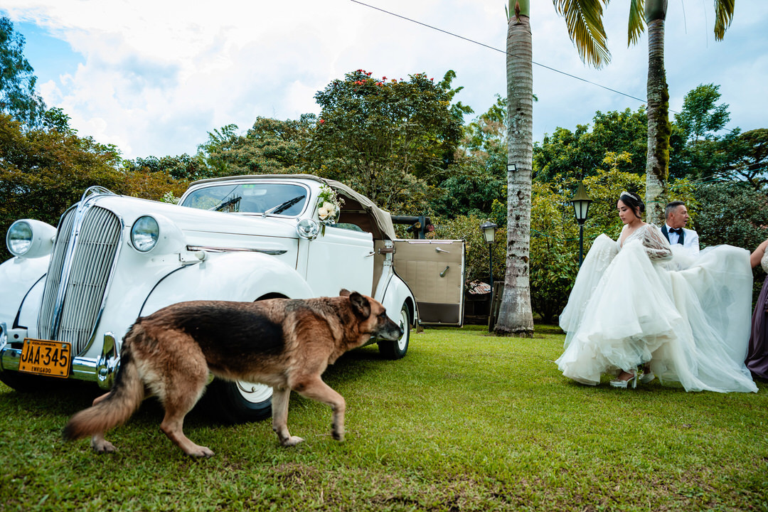 Retrato romántico de los novios durante su boda.