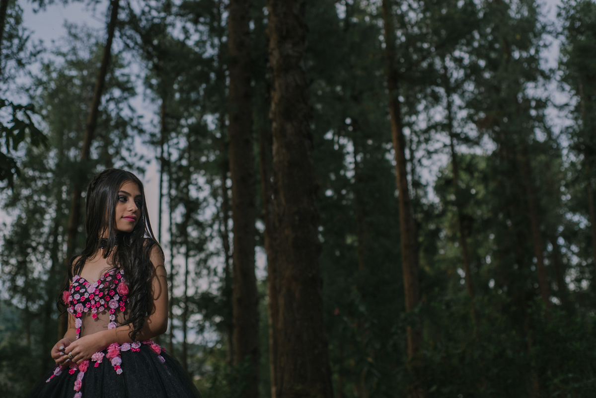 Camila con su vestido de quince años en el bosque