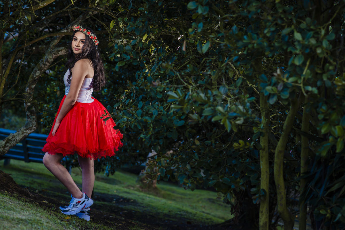 Quince años de Alejandra