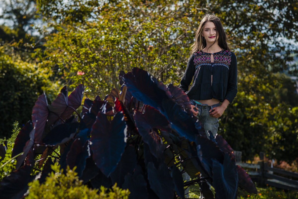 Quince años Medellín