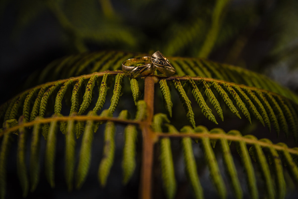 Gisela Giraldo Fotografía