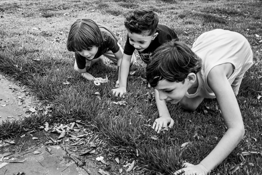 aniversario infantil jau sp 
chacara amadeu botelho 
pamela trevisan photografhy