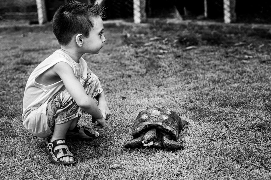 aniversario infantil jau sp 
chacara amadeu botelho 
pamela trevisan photografhy