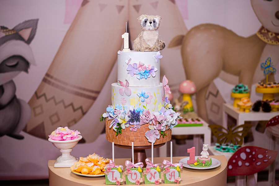 festa infantil Luna conta jJoão e Maria Jau SP Pamela Trevisan Valber Trevisan