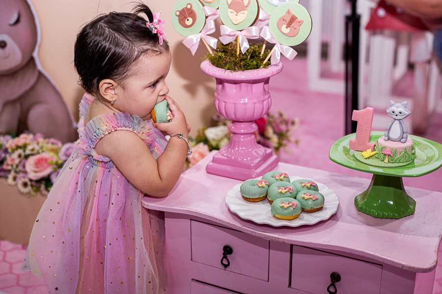 festa infantil Luna conta jJoão e Maria Jau SP Pamela Trevisan Valber Trevisan