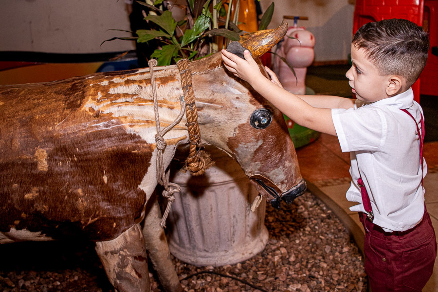 Festa infantil Zoe Jau SP Pamela Trevisan Benicio conta 4