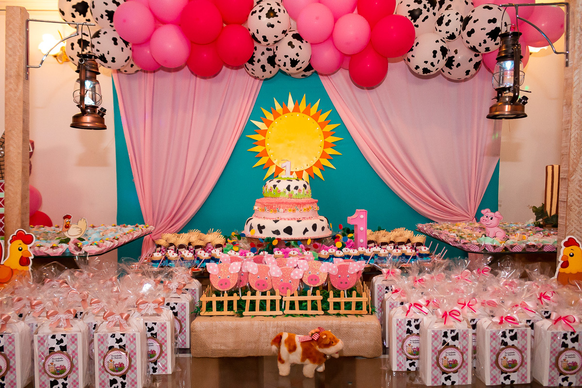 decoração de festa de 1 ano, fotografo em pinda
