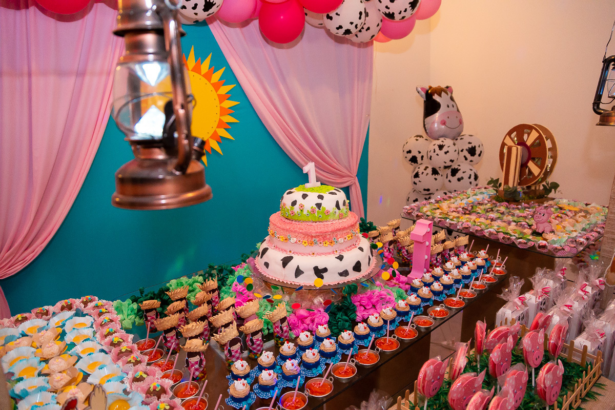 fotografia de festa infantil, fotografo de festa infantil barato 