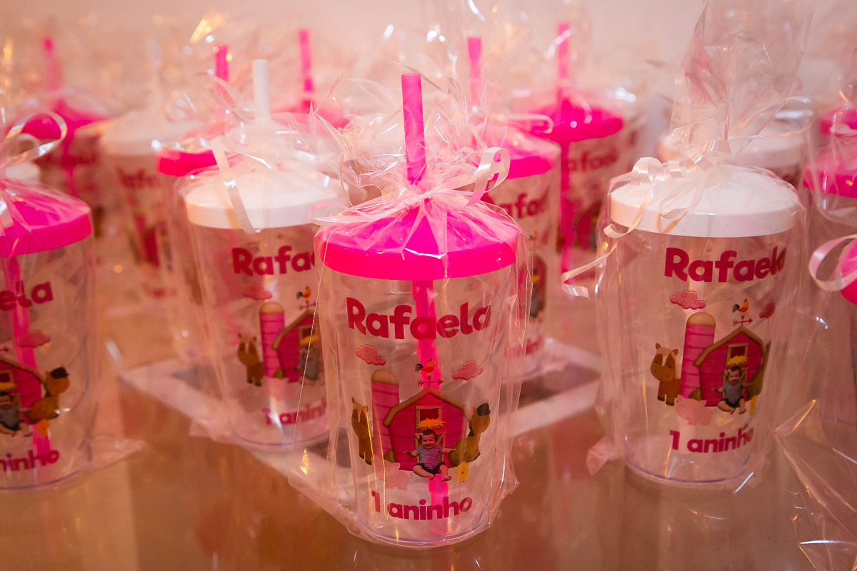 fotografo de festa infantil barato, o melhor fotografo de festa infantil em pinda