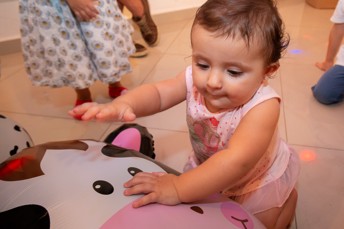 decoração de festa de 1 ano, fotografo em pinda