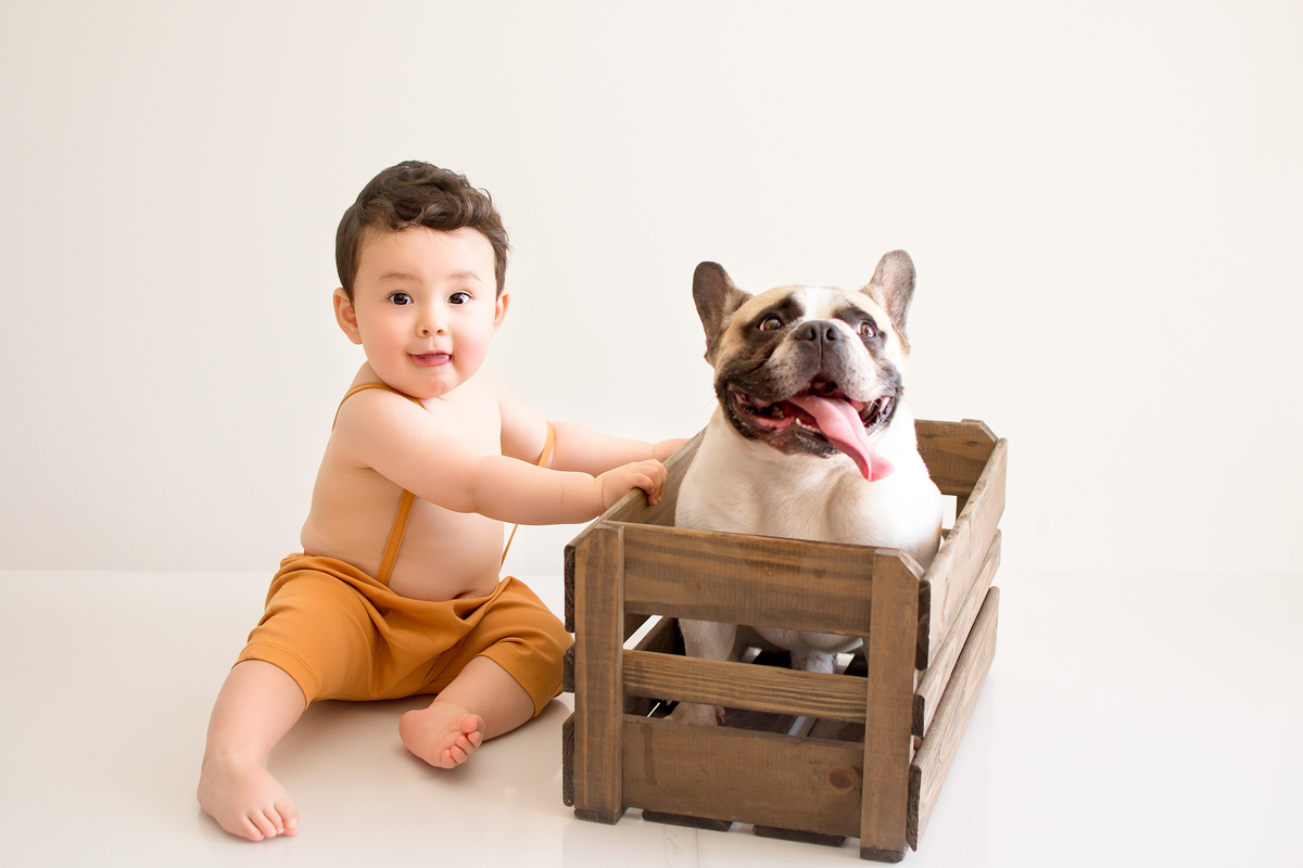 bebe, ensaio bebe, fotografia bebe sorocaba, foto acompanhamento bebe, franciny queiroz fotografia, ensaio smash the cake, fotografo sorocaba