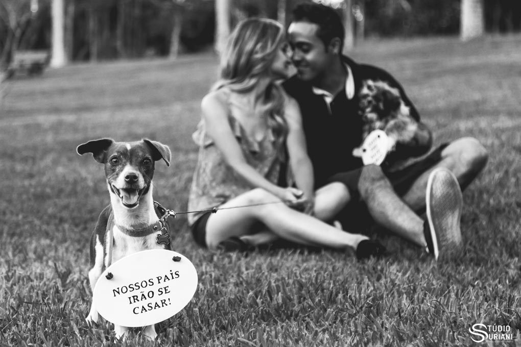 ensaio fotográfico com animal de estimação