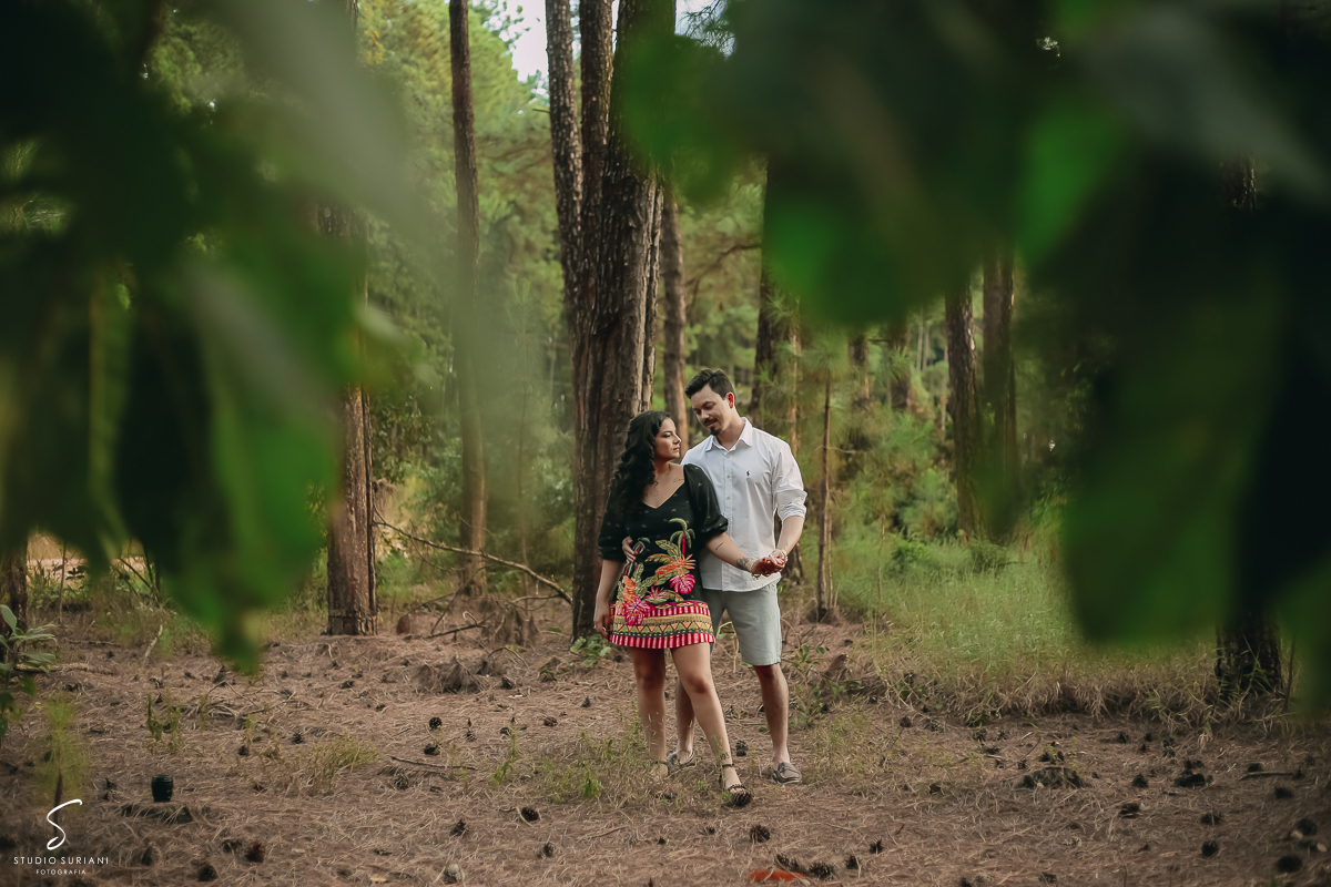 Ensaio em floresta do lobo em Uberlândia 
