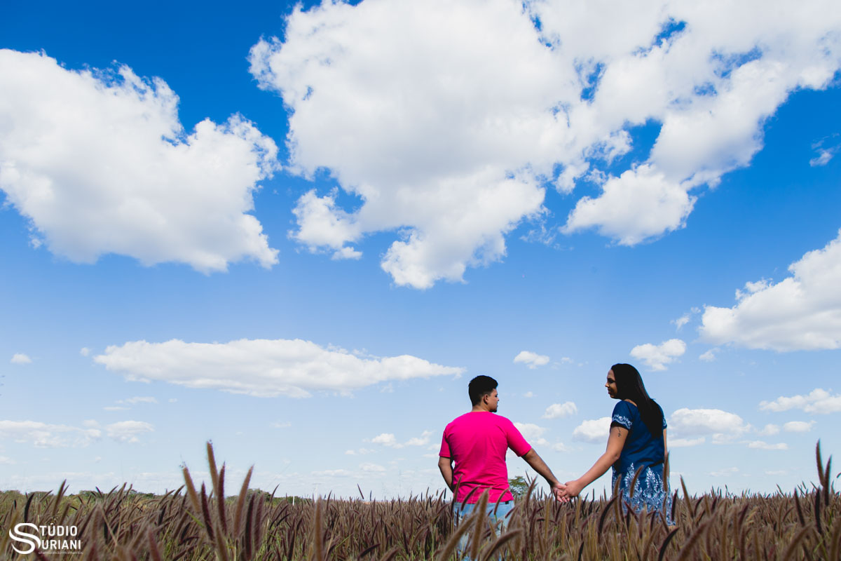 lindo céu azul no campo de trigo