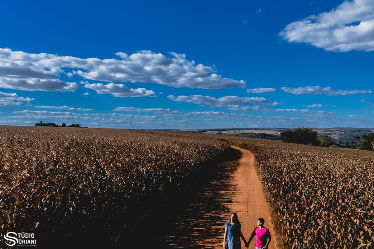 caminhando pela plantação de milho com lindo céu azul