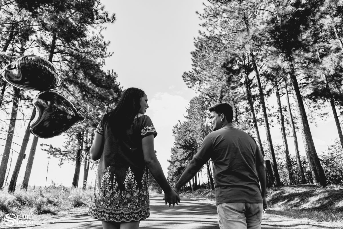 caminho de paineiras