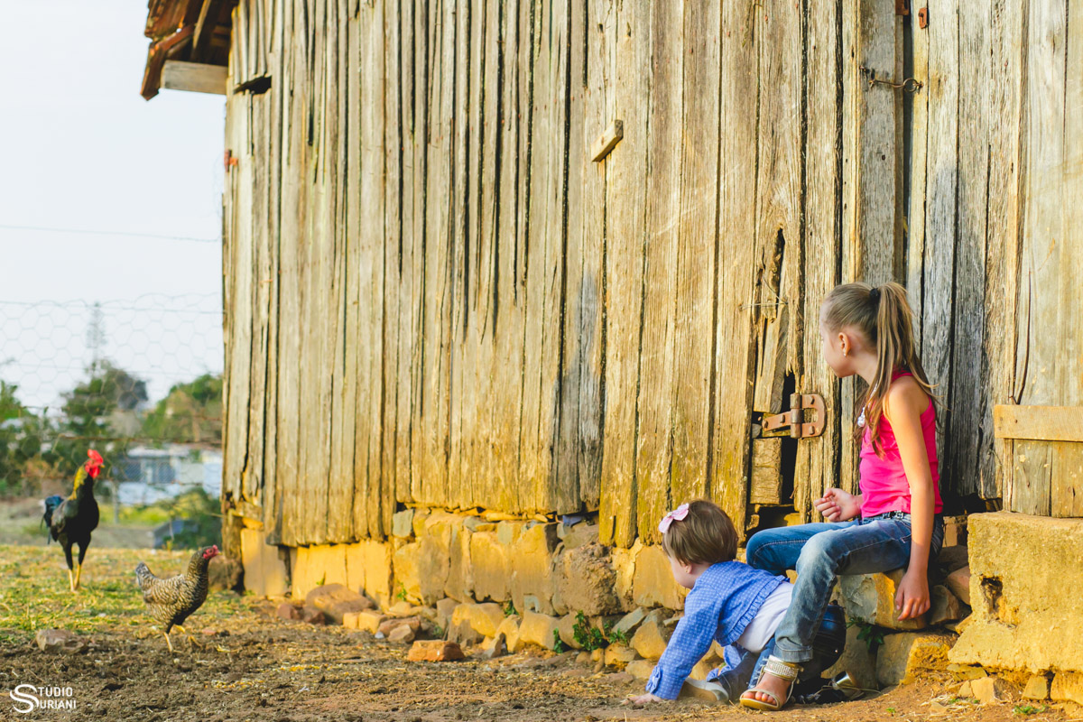 ensaio fotográfico infantil na fazenda