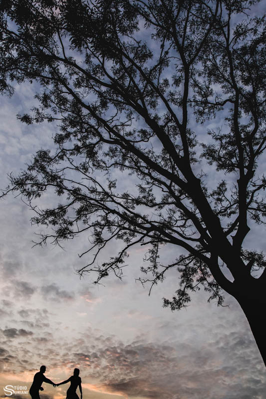 caminhando pelo campo