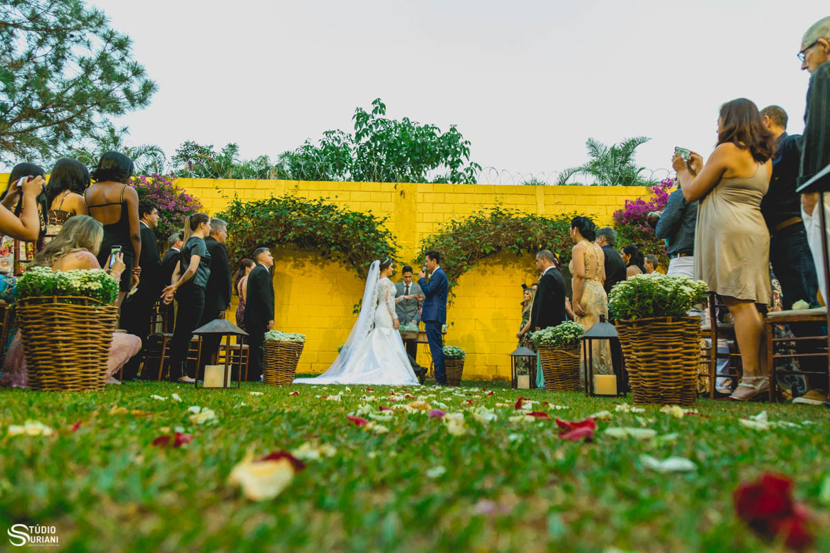 Corredor com pétalas de flores em casamento ao ar livre 