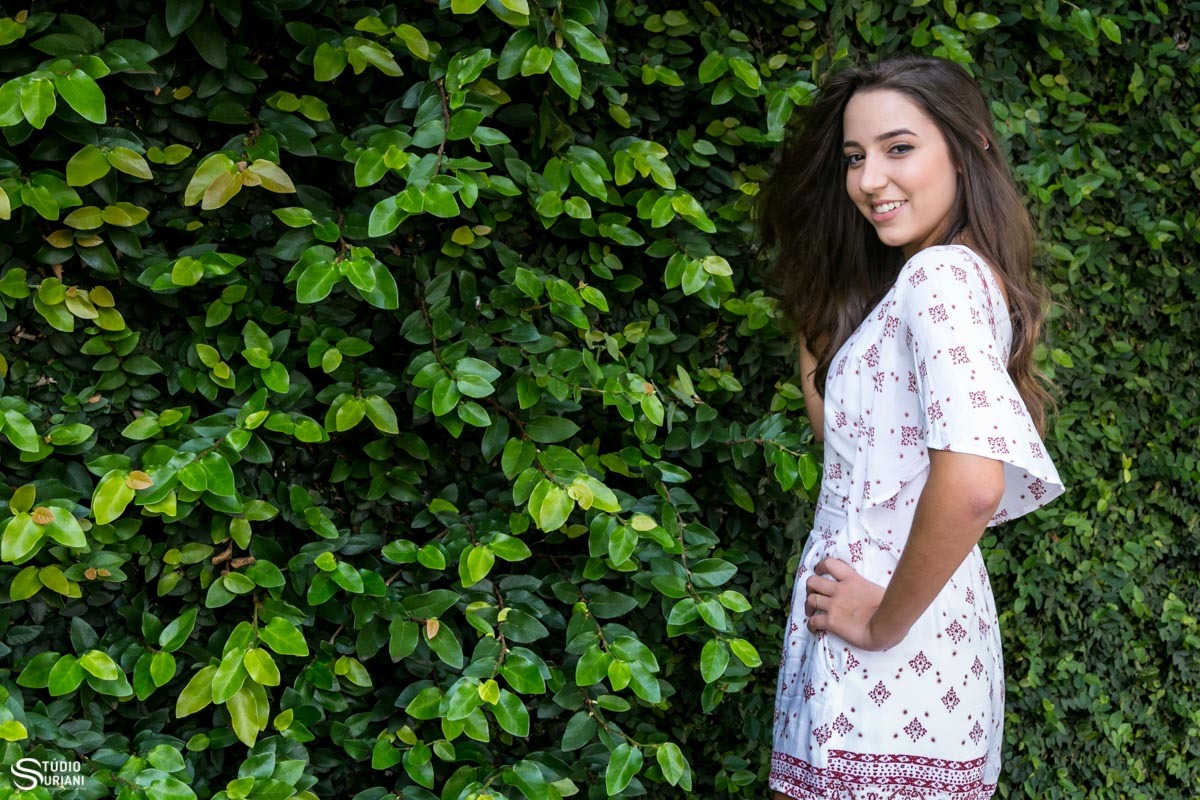 book 15 anos em paredão de plantas