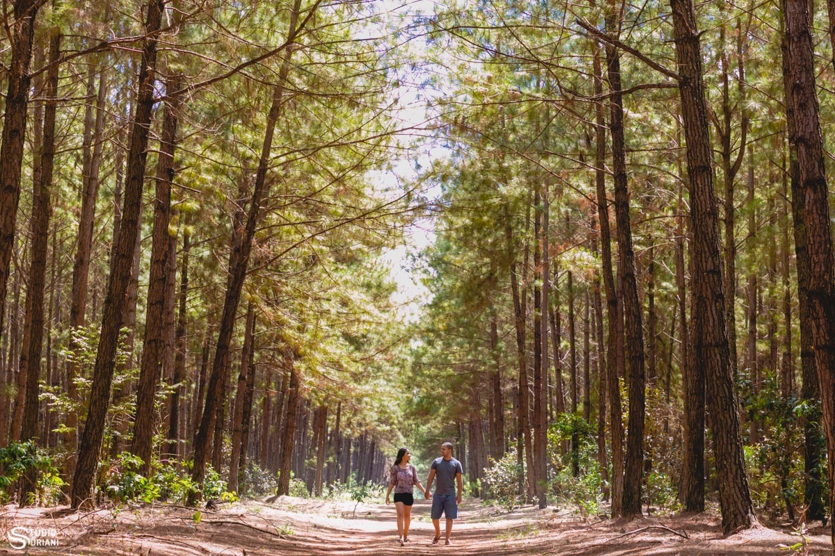 fotógrafo de casamento floresta