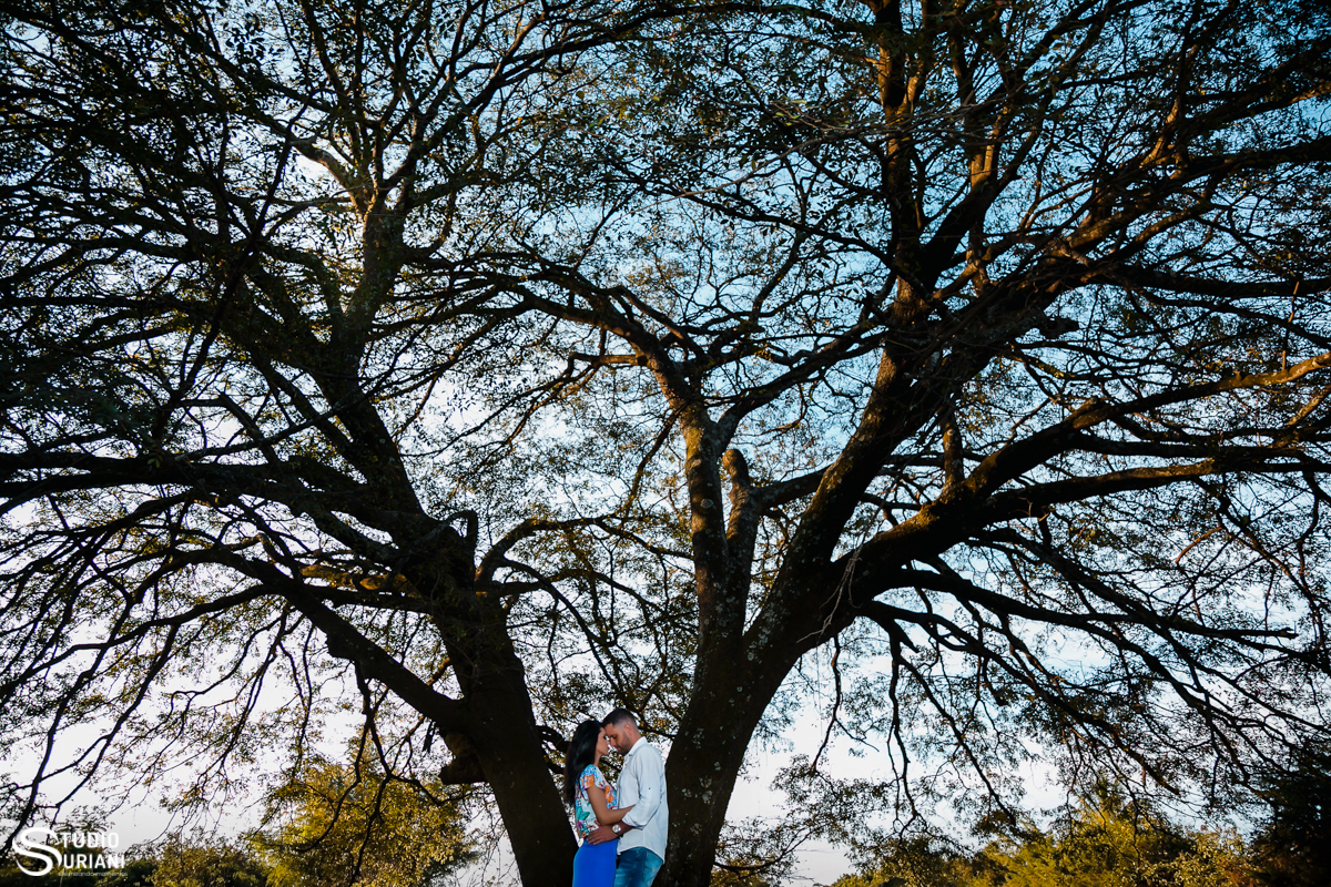 Olhar maravilhoso do fotógrafo Rogério Suriani de Uberlândia 
