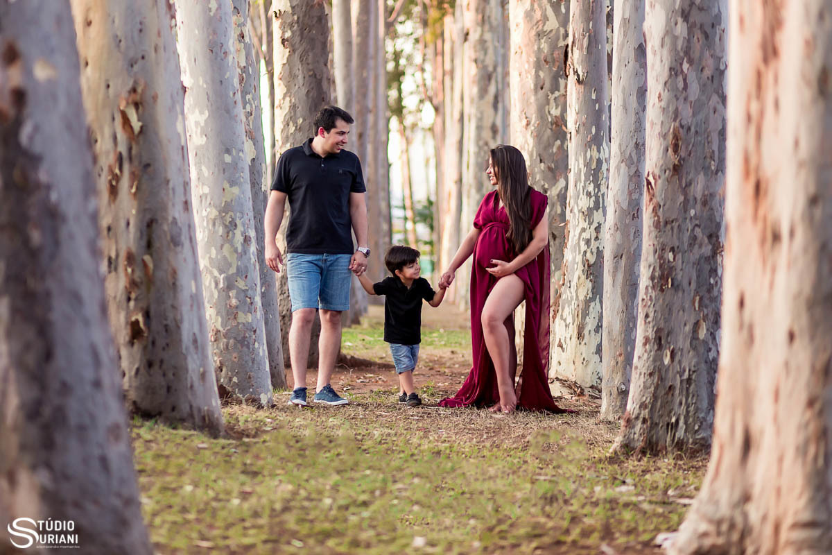 Família caminhando em meio as arvores de mãos dadas em ensaio gestante 