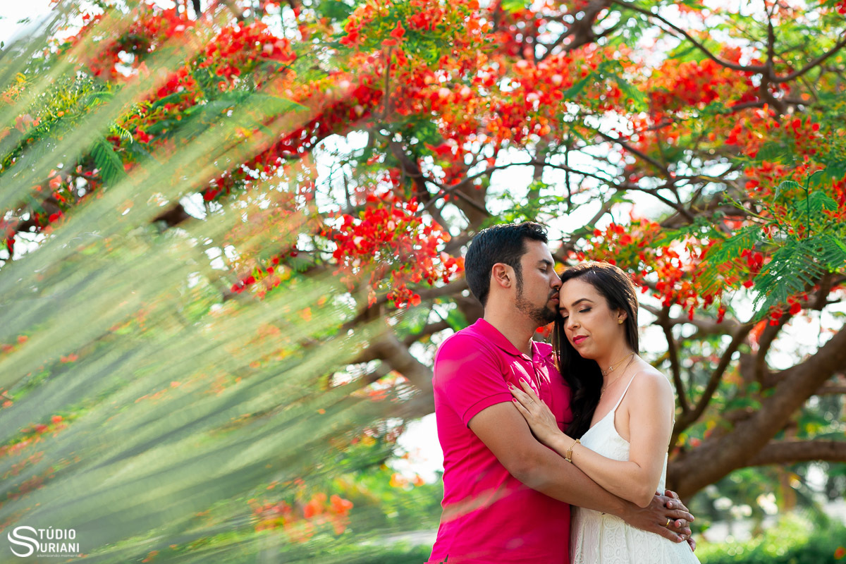 Respeito e amor beijo a testa refere-se a respeito entre o casal 