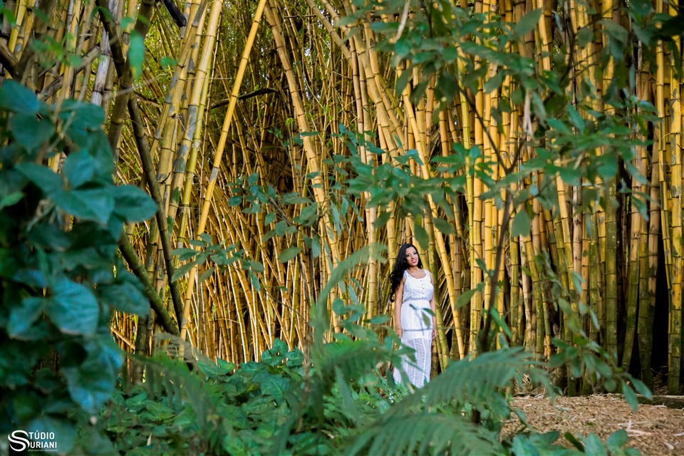 linda composição do ensaio fotográfico com bambr