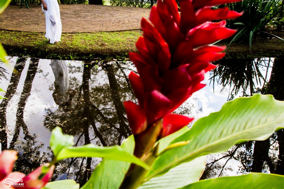 locais para book fotográfico em uberlandia com lago e lindas flores vermelhas