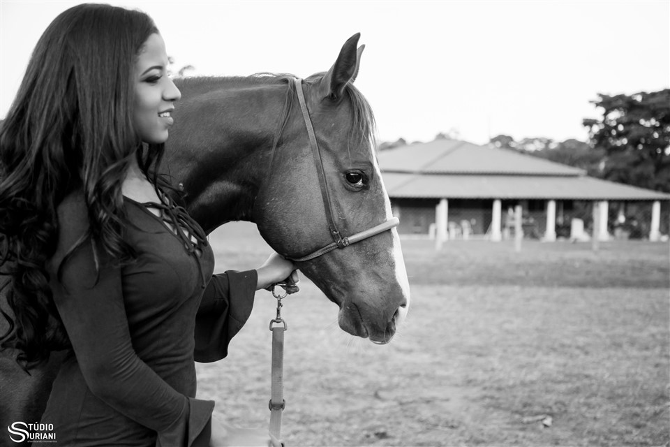 book fotográfico com cavalo em caras em uberlandia