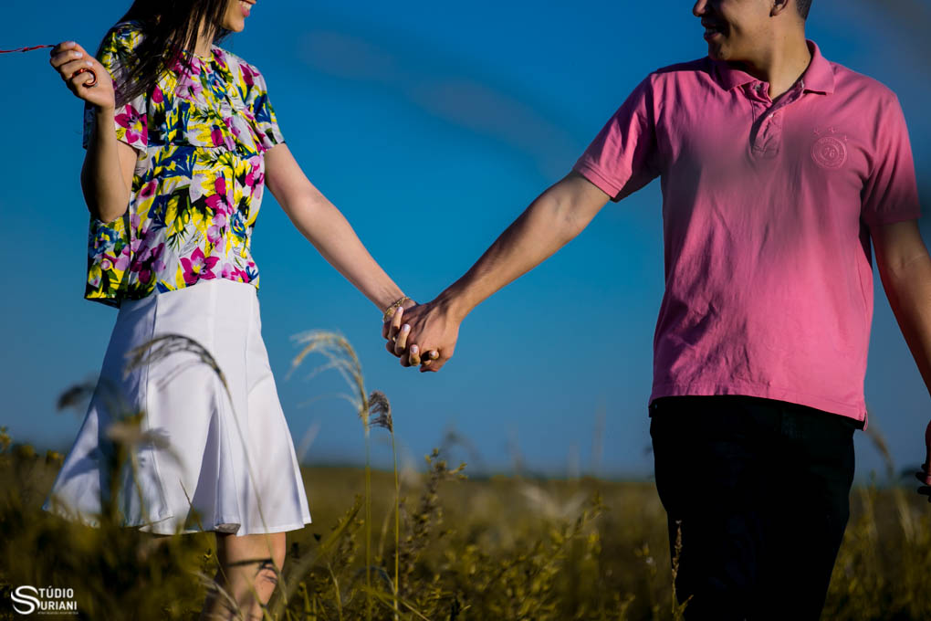 mãos unidas em meio a plantação no ensaio fotográfico com céu azul