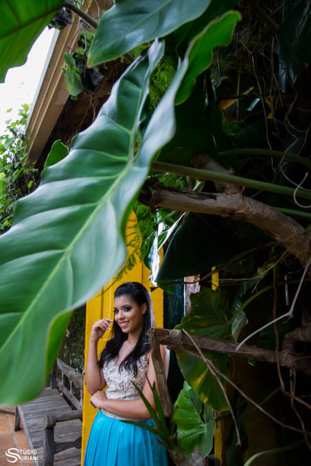 composicao de fotografia usando a natureza