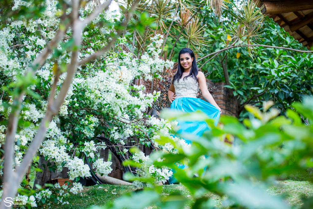 book de 15 anos em araguari