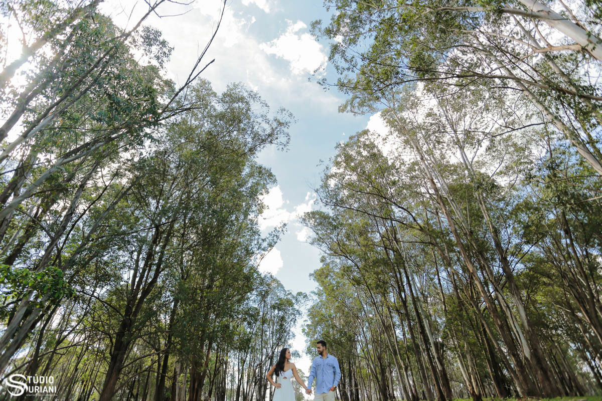 Local maravilhoso para fotos com arvores antigas 