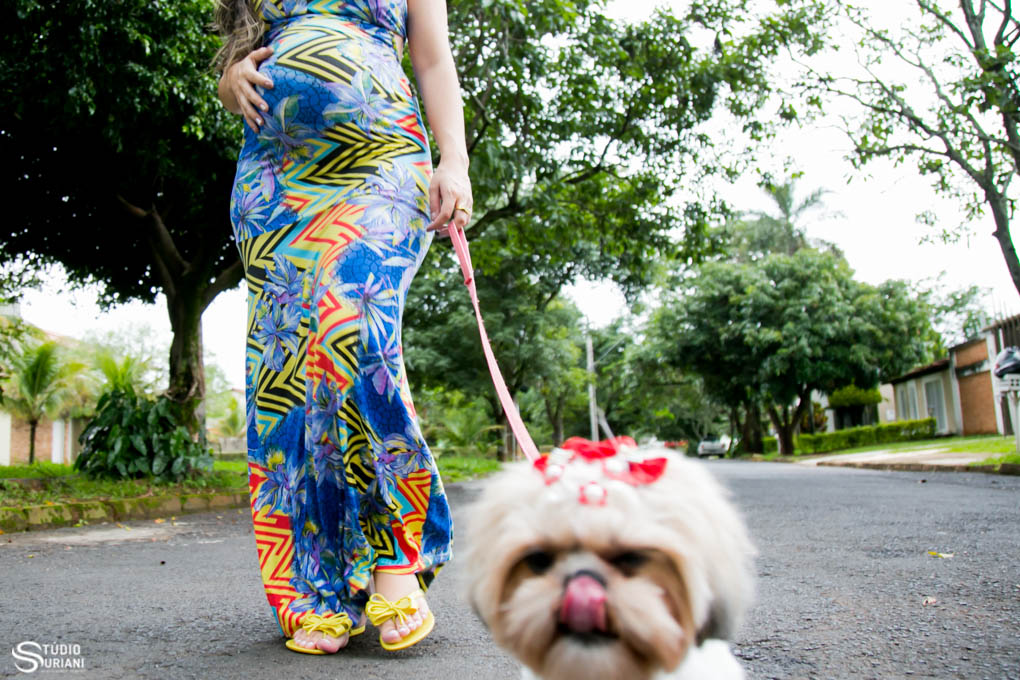 gravida passeando com cachorro