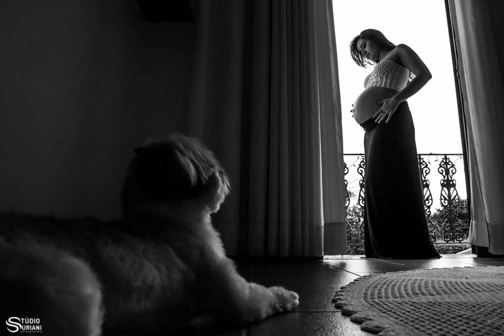 gravida na sacada sendo observada pelo cachorro em ensaio fotografico em uberlandia