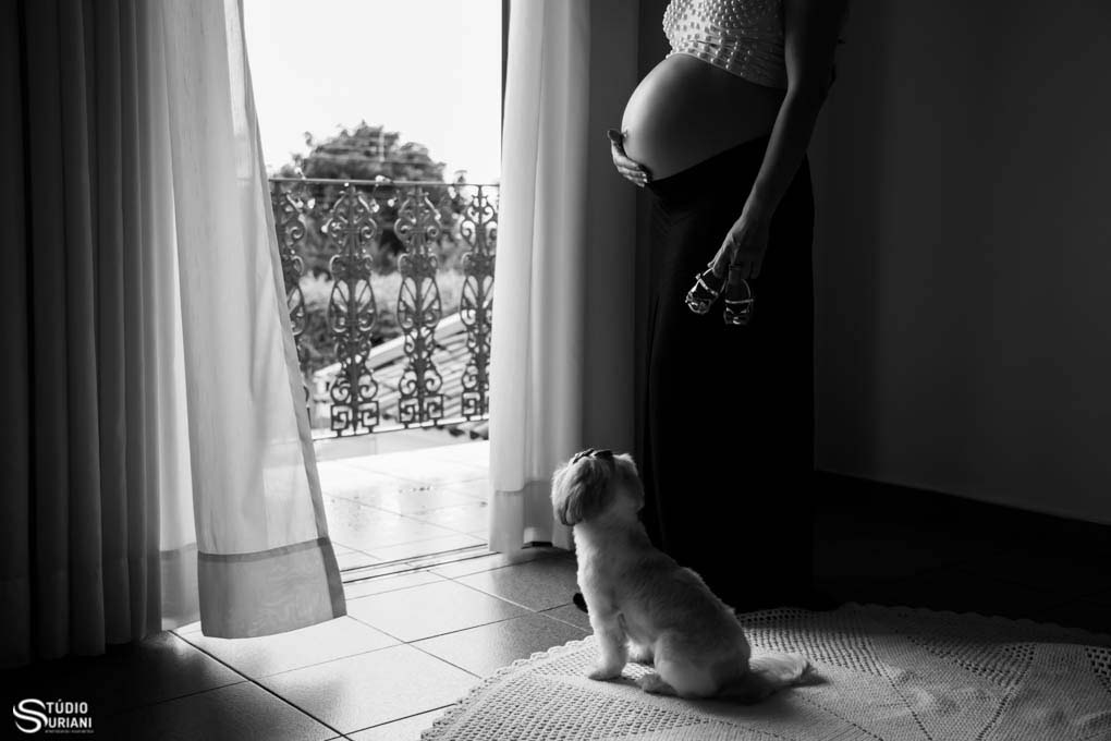 fotos de gestante com cachorro