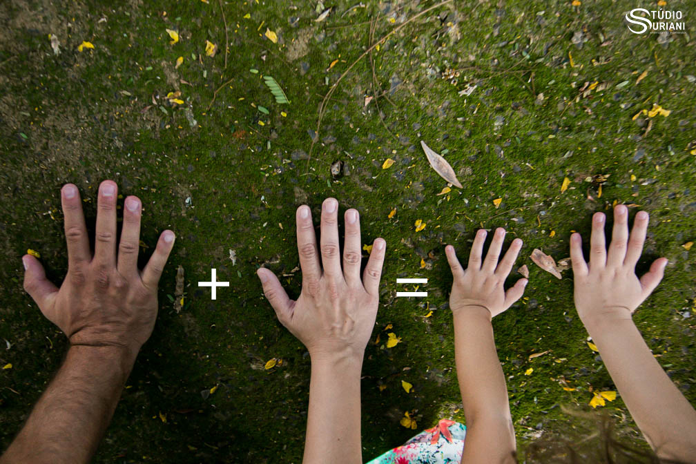 sumatória de sucasse